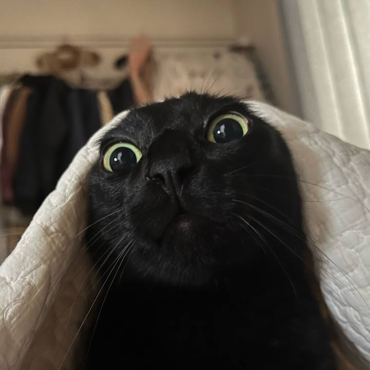 8efe1b59 7517 4788 b737 894fbb7df5d1 1751411465369