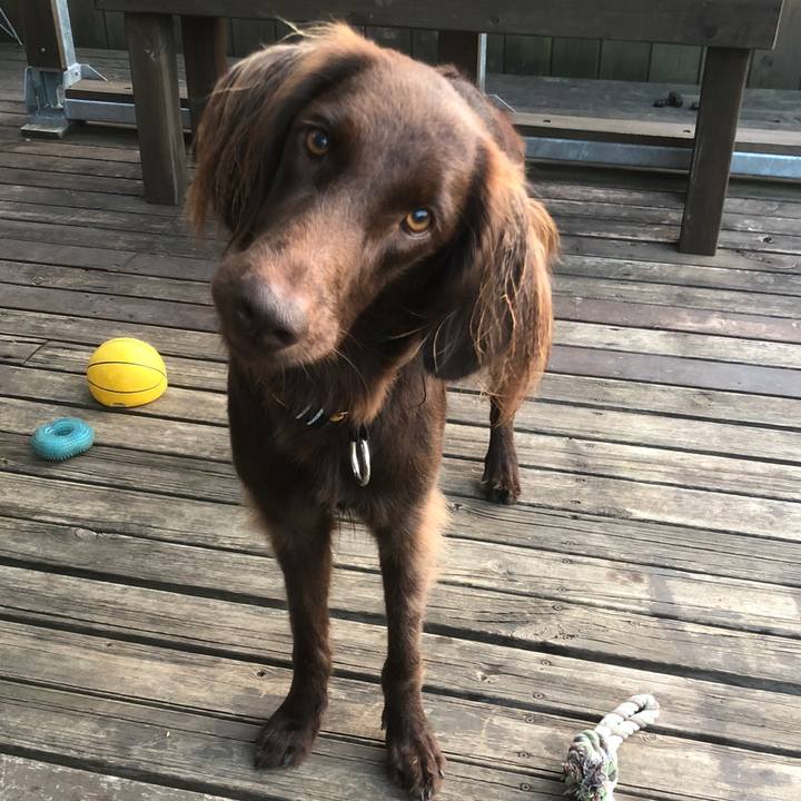 8efe2471 b1d8 46c6 b233 61c9d6adbb3b 1604741255675