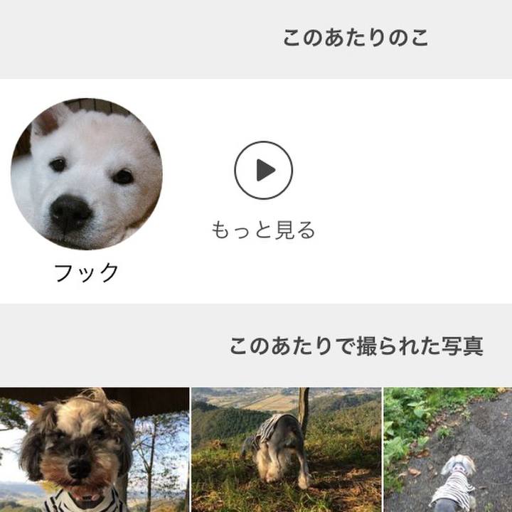 8efe3af9 94dd 449a 87ad e241adb44381 1556341379010