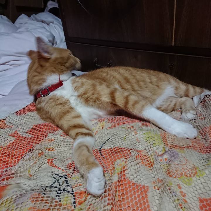 8efe3c3a 9c8b 454c bea1 f5fa78406035 1569327047710