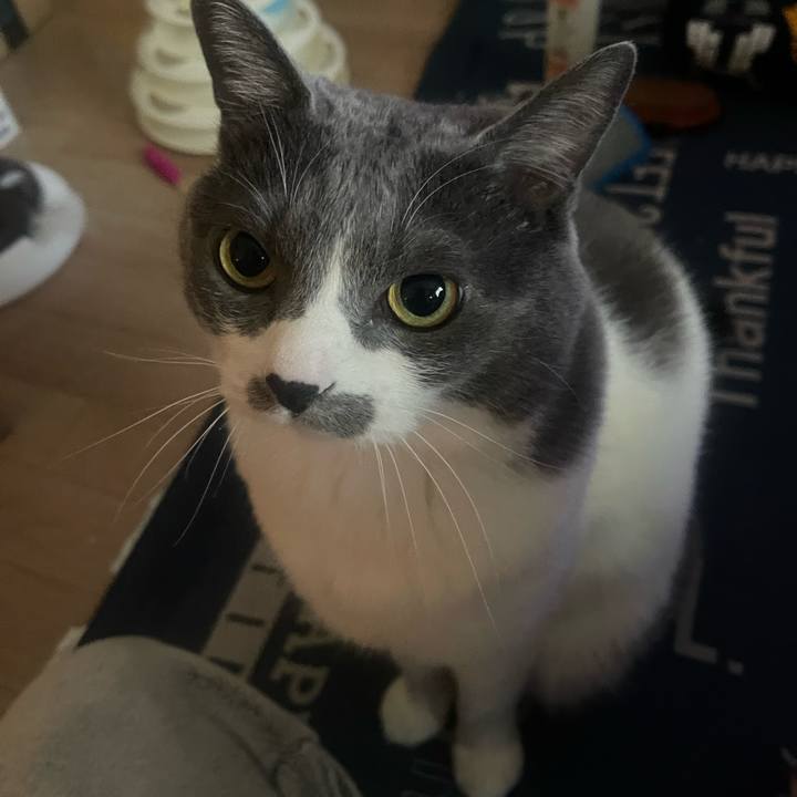 8efe4342 a2c4 47cd be32 5322559d91f5 1744509035449