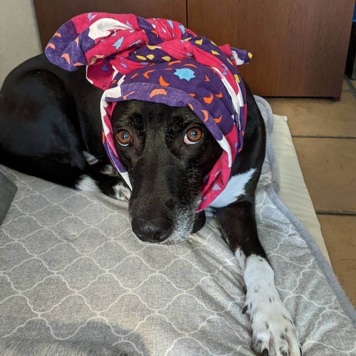 8efe4b97 4c49 4524 826d e0b986038f3b 1693027876377