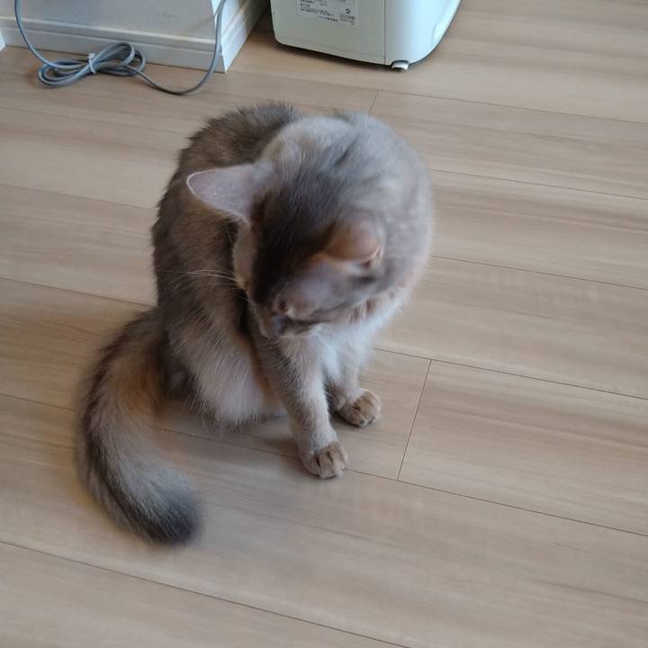 8efe624f b91c 4f1f bbaf 6f54f187c6e0 1626418622387