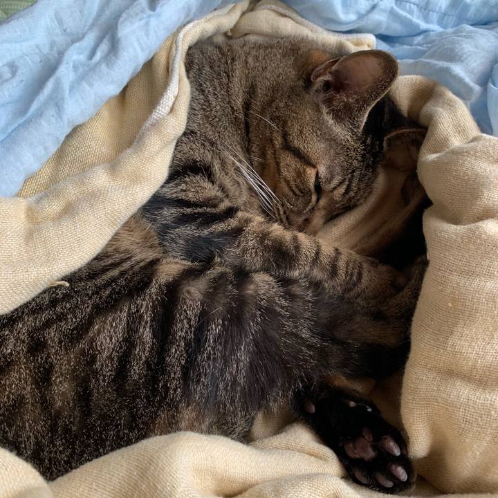 8efeb3ff c4a8 4c48 a806 77869cbfdf08 1538613672552