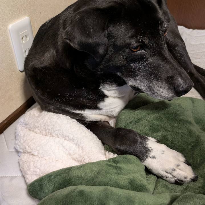 8efed809 adfb 4dcd 9eed f59f9a6d7dc9 1747520419987