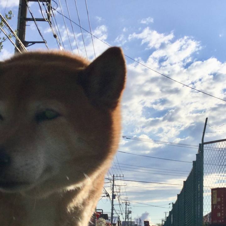 8eff30c9 5d3f 49ee afbb 26b6a981c504 1587196480747