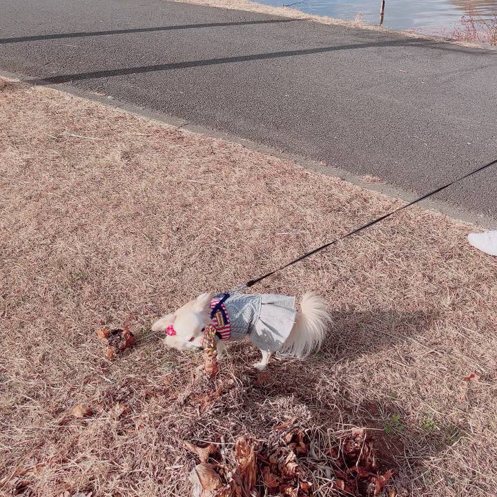 8eff4261 0669 4cd9 8543 810a4edc27c3 1704608354892