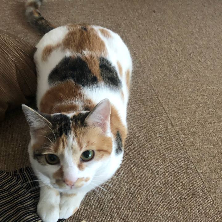 8eff4c39 1b9b 4411 b5ba 42b0c28976a2 1582602005967