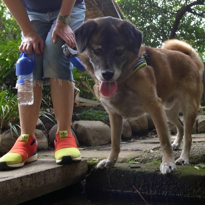 8eff509e a175 451a b8a9 f38cd7fa7830 1582453728279