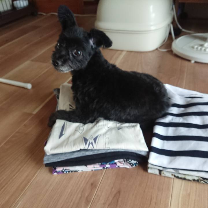 8eff581c 3906 4b7f 867f a46256983130 1537159010341