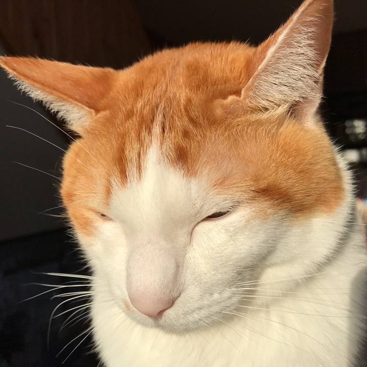 8eff920f aa19 48ed a21d 72f53295ce59 1579393677935