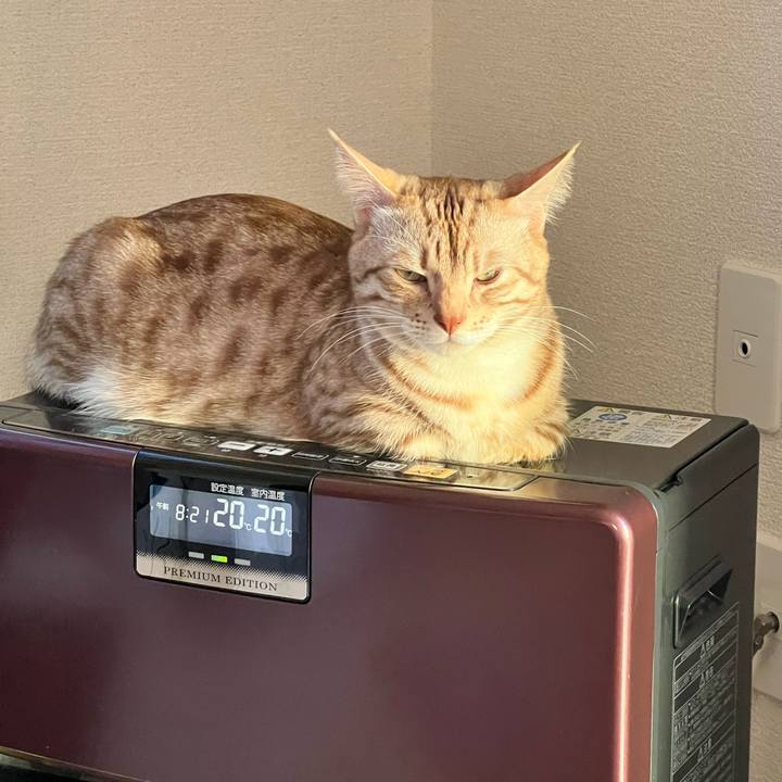 8eff9751 e856 4c05 8848 fb63bf20a544 1677540511354