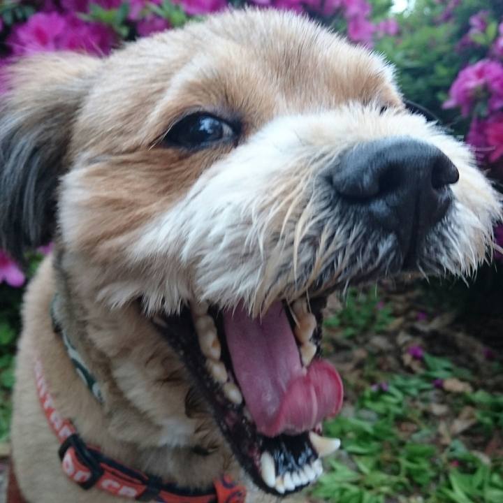 8eff9fe6 a87e 4539 b748 f14a10bc4ee4 1524475428877