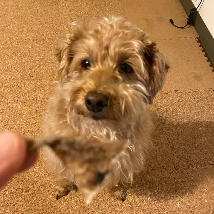 8effa5ea 53cb 462f b790 6f3f06fa7222 1629236965023