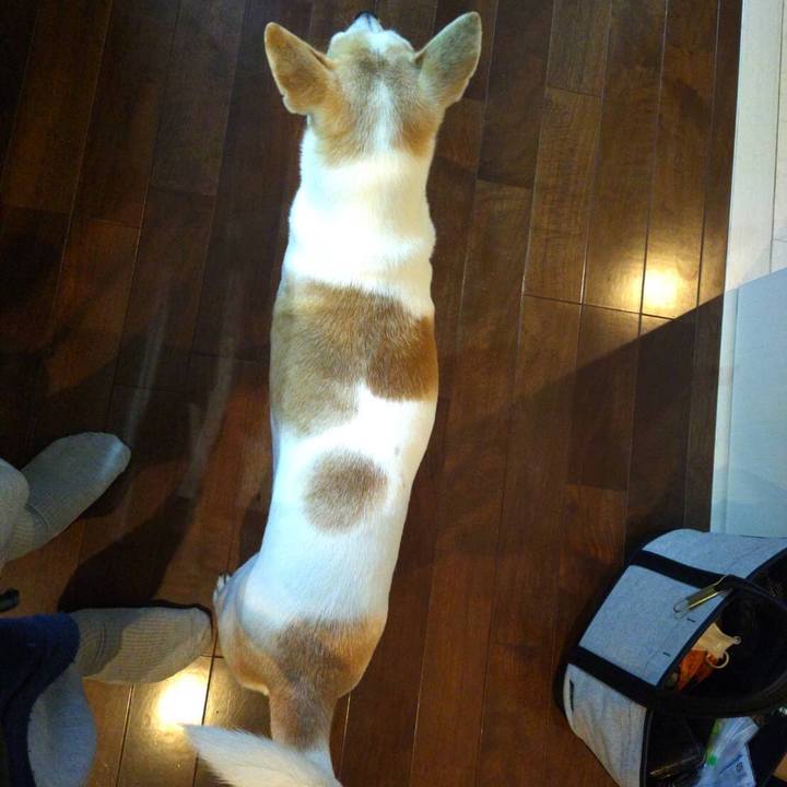 8effbb3f 6f86 4f94 bf47 f74e9247812d 1642071048907