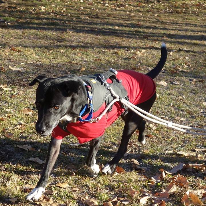 8effdd1e cbb7 4e70 a867 ff14d7c89ac7 1641001092864