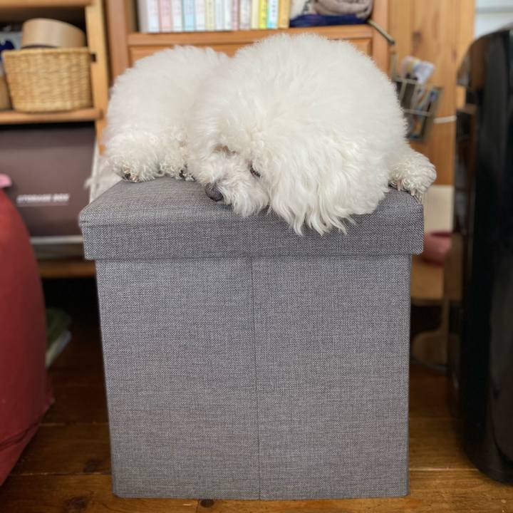 8effe219 f1b6 45f1 8277 8f759ee8f7b8 1618957515850