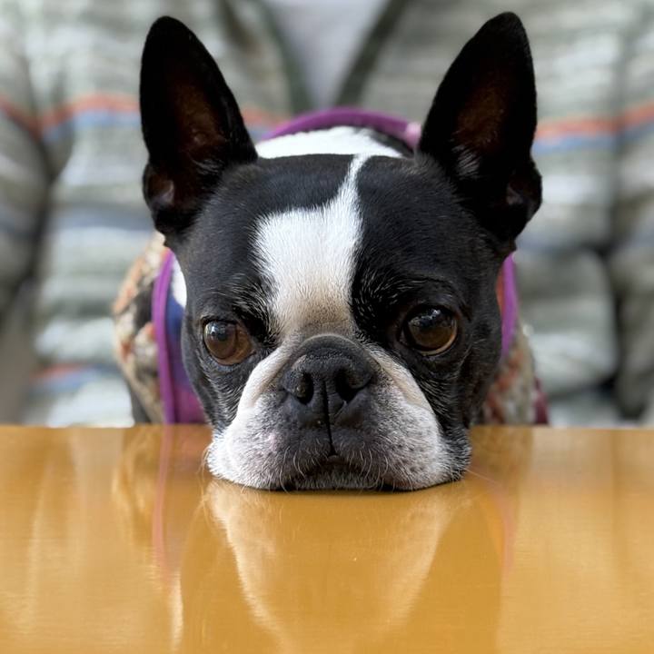 8effe880 5848 432a b6ef 239d9f5fab31 1764599129950