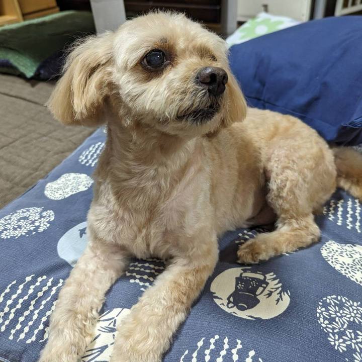 8f002c47 b500 4a4c a446 b62f50fa1db2 1691839667290