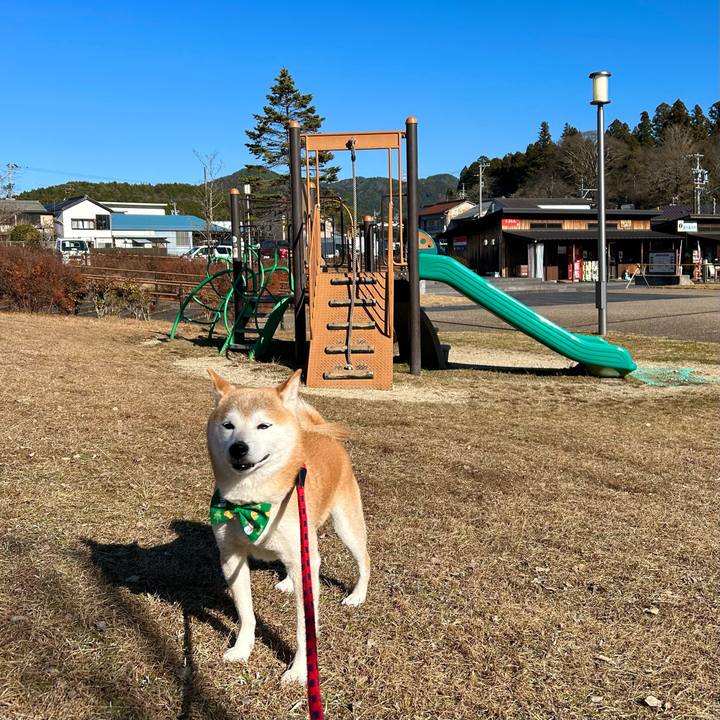 8f00584e e113 4232 a276 45f740625089 1703589187575