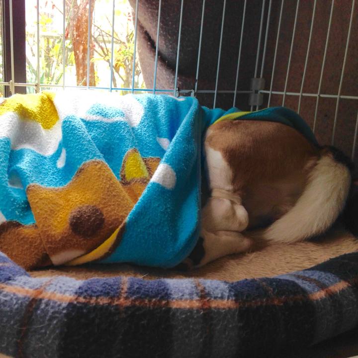 8f007d7b 49fb 44fb 8ae9 9628f8acb74e 1744243633015