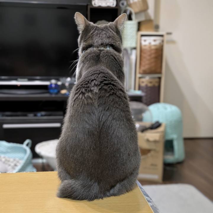 8f007f67 9905 4675 a34b d7274bbd3f0d 1763628046490