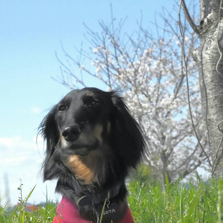 8f008f6e 56c4 4c89 b00e 04aeda0278f7 1586069621348