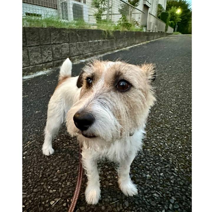 8f00be5b 1e79 4ce6 879e 2eed458f836e 1725953061532