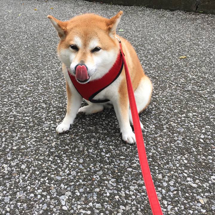 8f012448 8288 442a 9e9d d9cc8532e8da 1595312165887