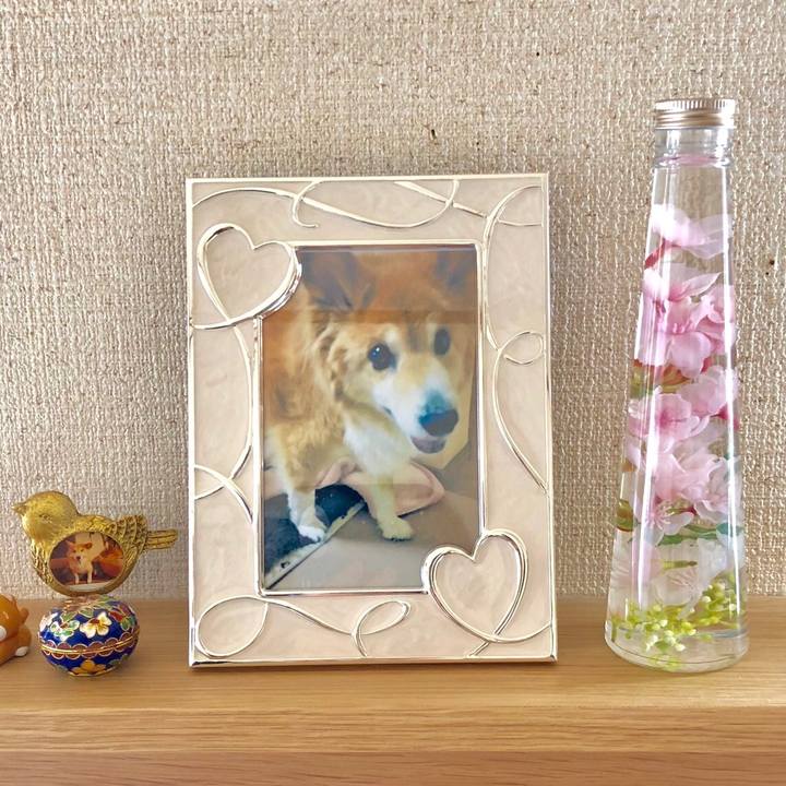 8f0143f0 bf91 46cc aaa3 8ec1ce028049 1521853812613