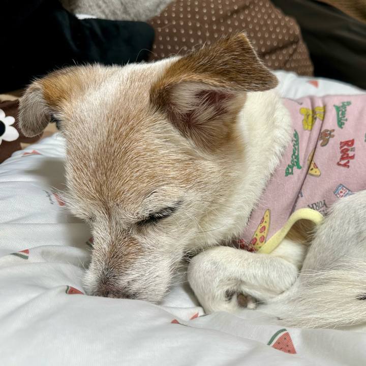 8f01515e b31b 47f3 867c 8d1040716cf2 1757684706687