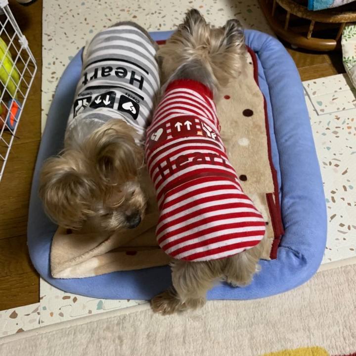 8f018dbe a358 4f09 80a8 25179a115d11 1673862724343