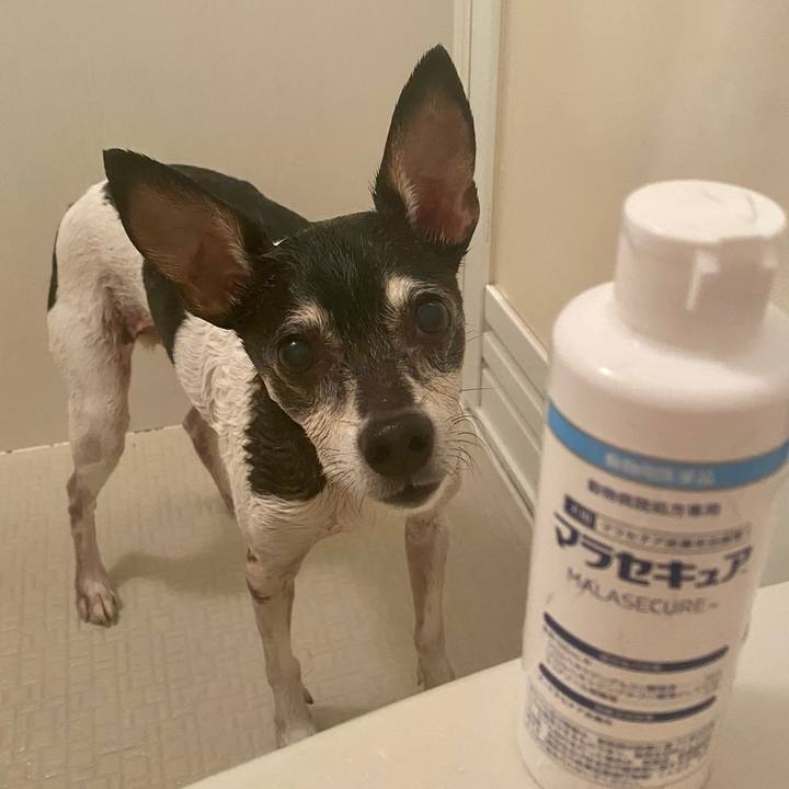 8f01c082 dfb7 4cda 9fdf 89305bc5e2c7 1621158442854