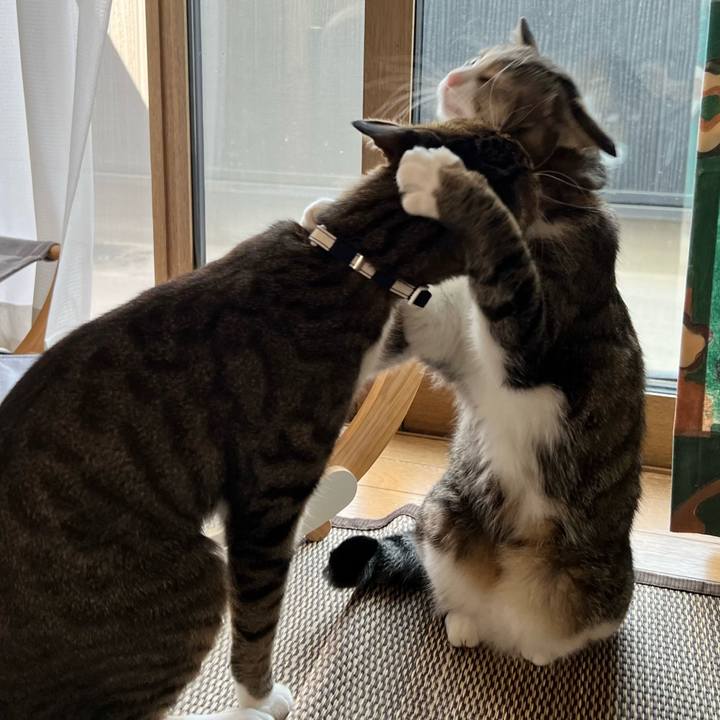 8f01f441 f5bb 48b1 9082 d54b075713da 1728655571682