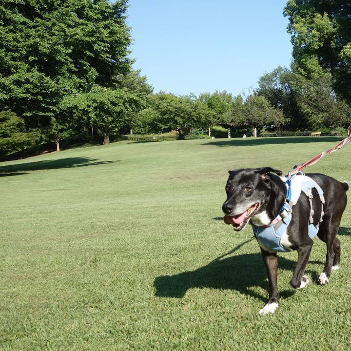 8f01f621 ab23 46e7 9b8e a5c90a788404 1753487576571