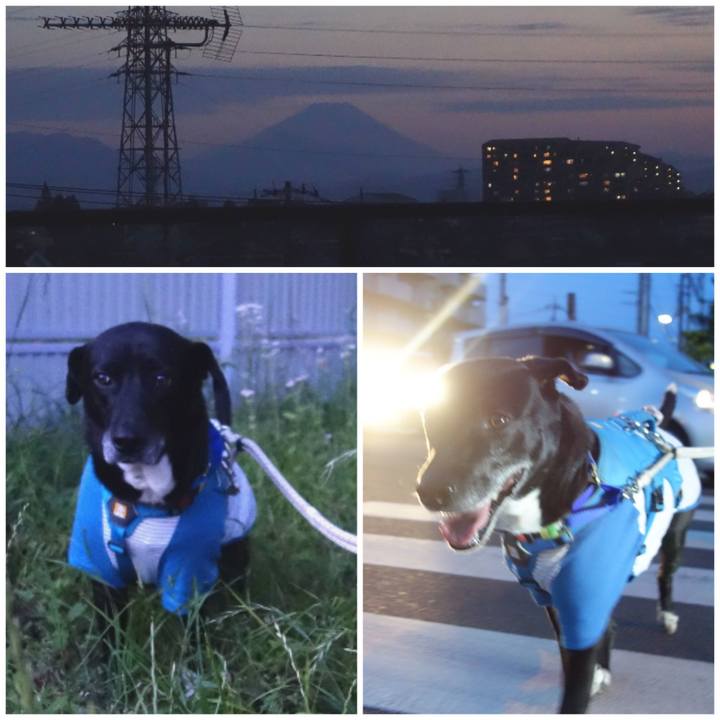 8f020793 ba21 4dd0 b21d 83671d85ea51 1683112578824