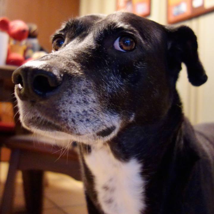 8f024d74 04cb 4f27 94ce e44ce368d8aa 1730163428741