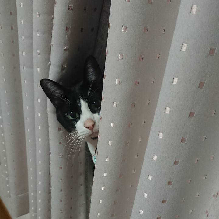 8f026b8c b3d2 4ed5 8dc0 9287b656e3d6 1607148204010