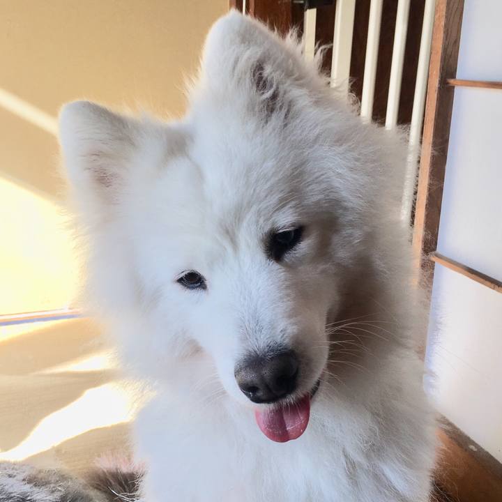 8f02f7cd 2170 44a8 b8ff 74cc7ba1bad9 1548473113560