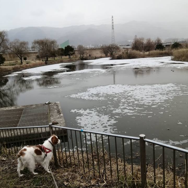 8f0301b2 d186 472c b491 12a79dd7afd6 1610105542118