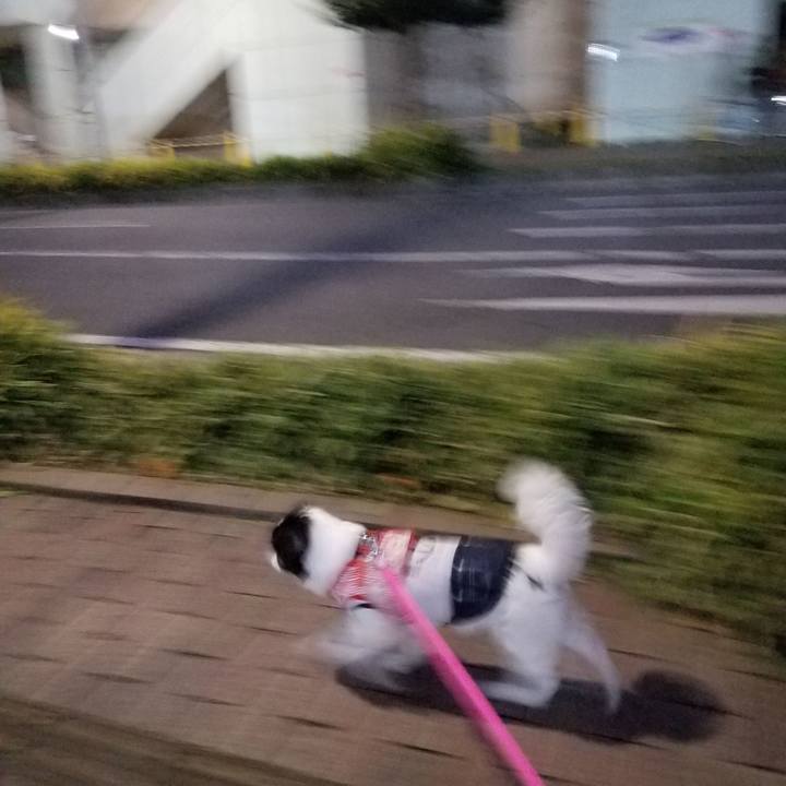 8f0302af 0289 4384 919e 8265f70864c5 1574074167233