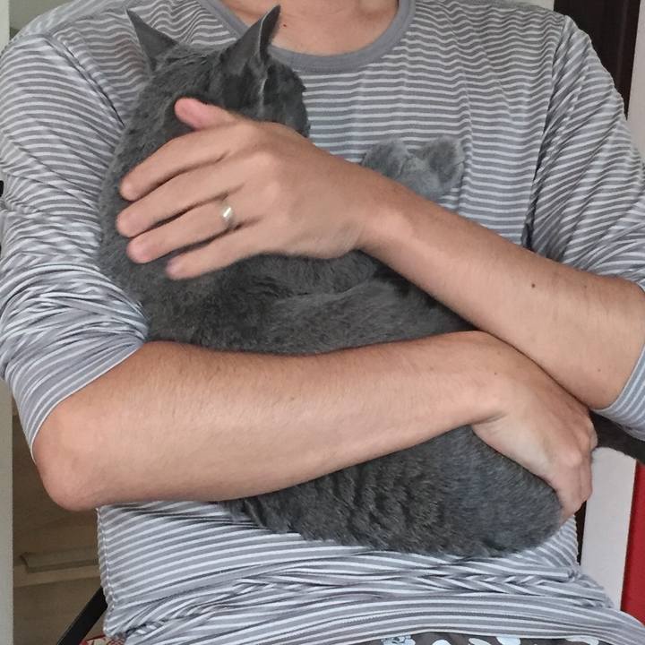 8f030b93 3fc0 4b3a 9f84 49b179ab3c91 1538574248138