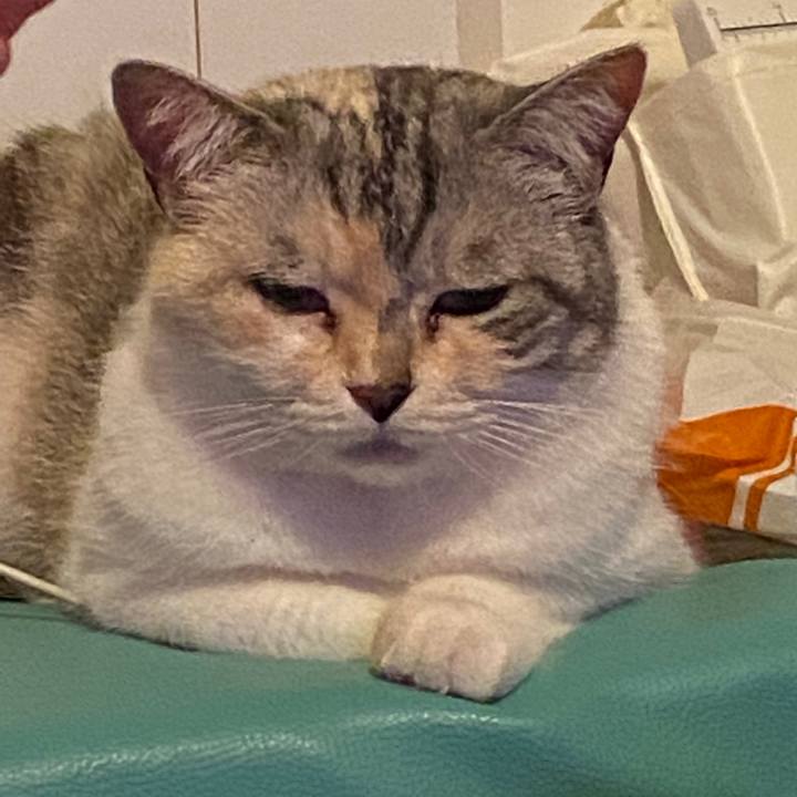 8f035315 81e3 49eb 82b6 49eb30101e45 1592145448639