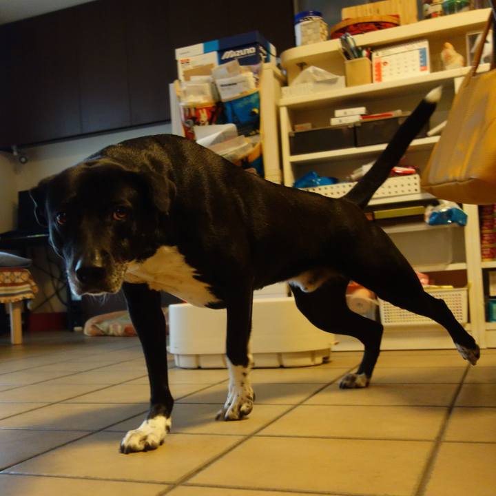 8f03b9ec 4f37 4f9c a643 8131849b709a 1682815165188