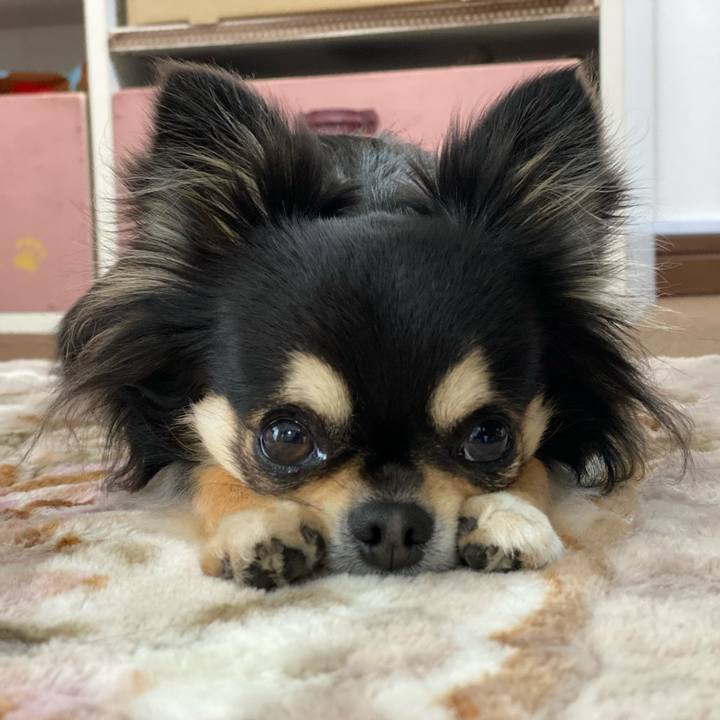 8f03bc6c c46e 4d2e 854b ba0fb7201471 1615161944996