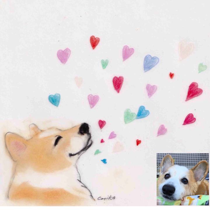 8f046969 3381 476b a4b9 aeedcc01d751 1644844142125