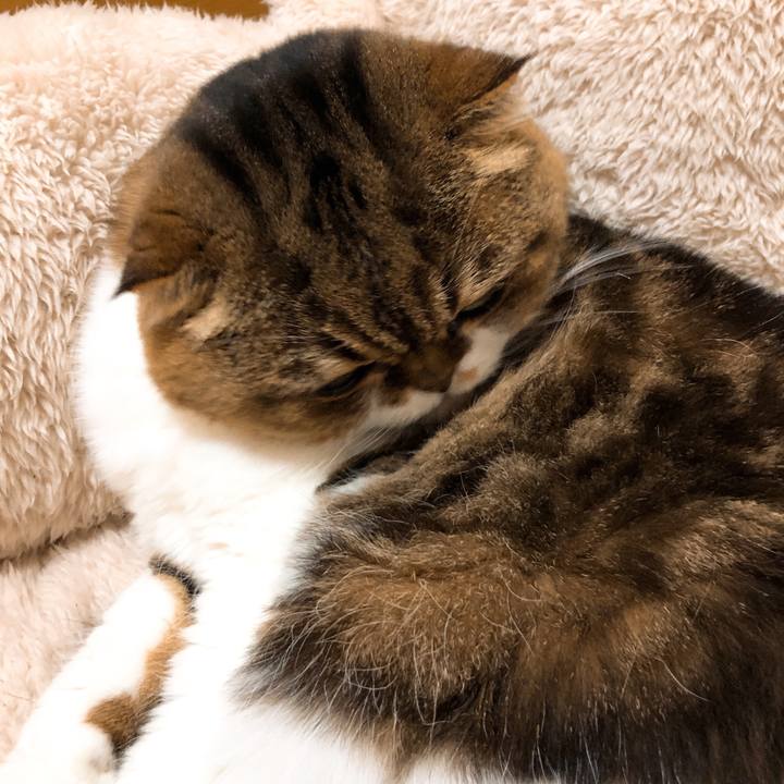 8f046ca6 3342 494e a41b 10b2ebc617b0 1545061660997