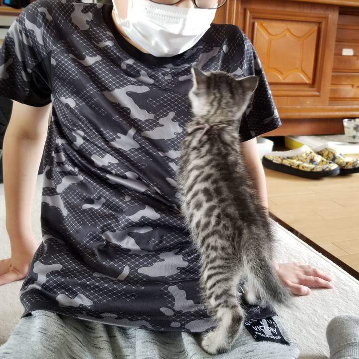 8f047aeb c7c8 4944 a544 4aca71c4d4ff 1661253288670