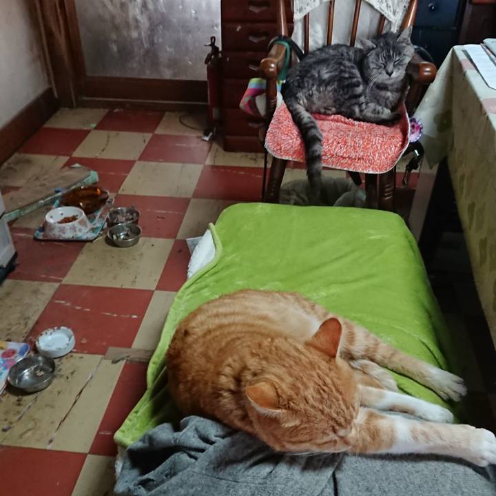 8f04b052 b660 41dd 97fd b231df8aa2aa 1579927482037