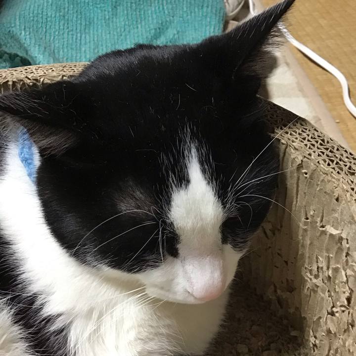 8f04ec71 443c 46d6 9c1a 3798e74531dc 1740974885355